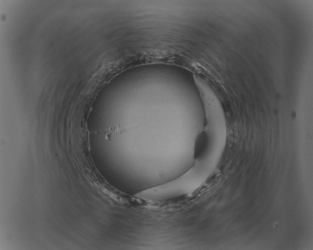 X0000067890961200604271822