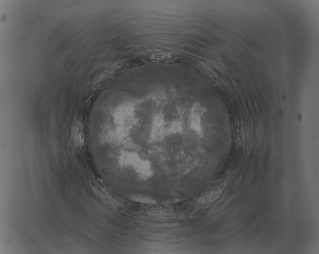 X0000067890962200604271822