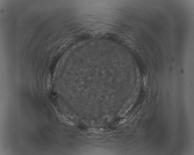 X0000067890963200604271822