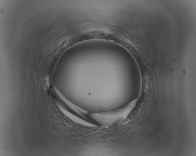 X0000067890965200604271822