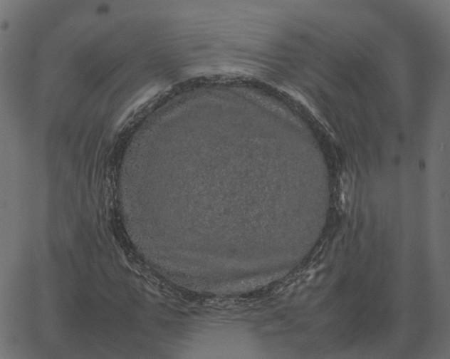 X0000067890967200604271822