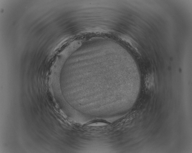 X0000067890968200604271822