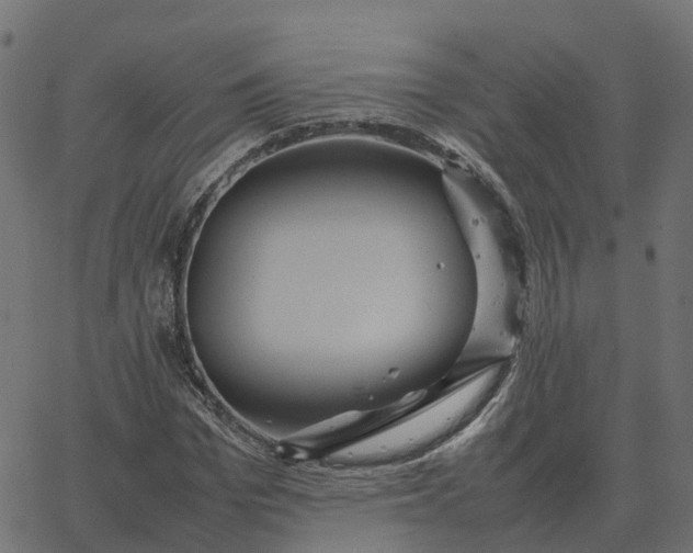 X0000067890969200604271822