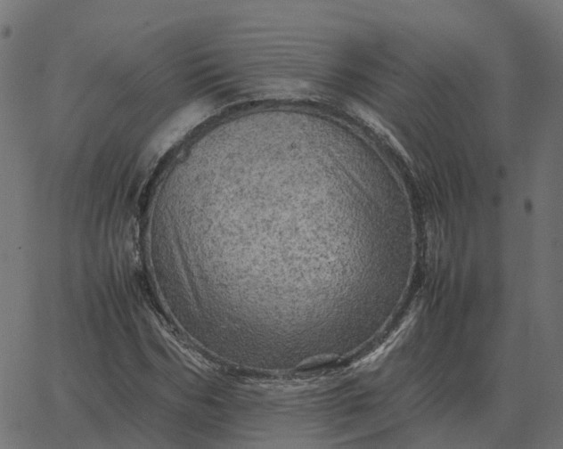 X0000067890970200604271822