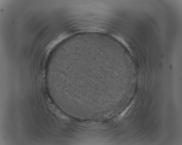 X0000067890971200604271822