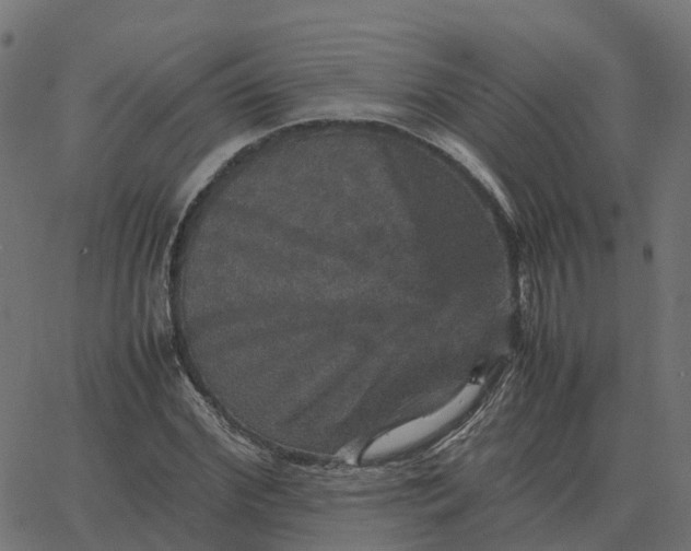 X0000067890972200604271822