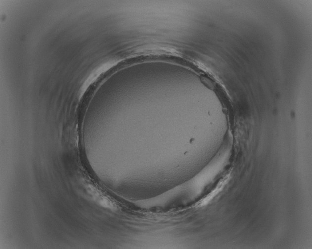 X0000067890973200604271822