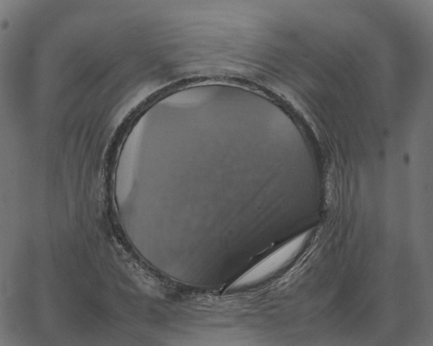 X0000067890975200604271822