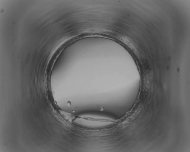 X0000067890976200604271822