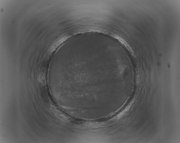 X0000067890977200604271822