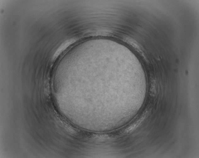 X0000067890978200604271822