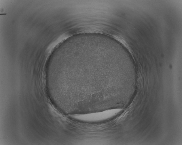 X0000067890979200604271822