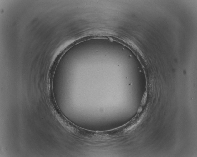 X0000067890981200604271822