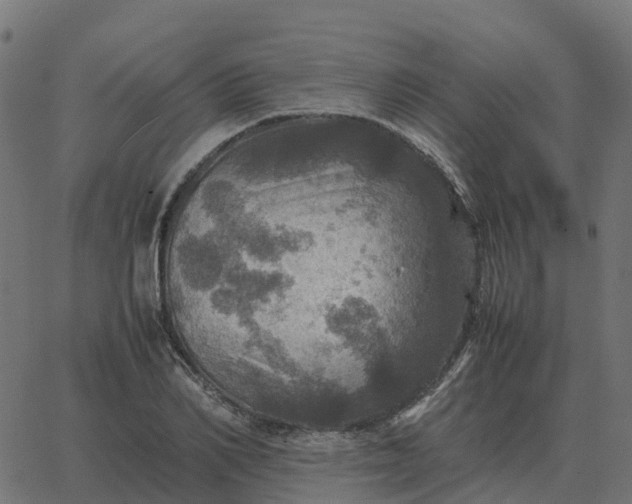 X0000067890982200604271822