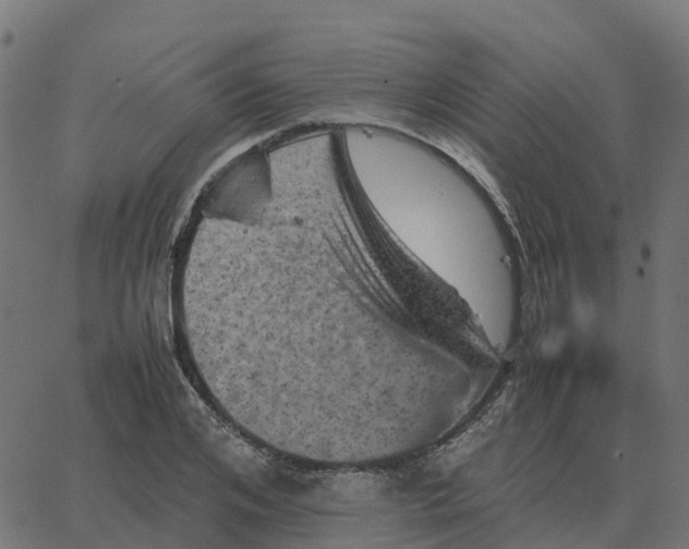 X0000067890984200604271822