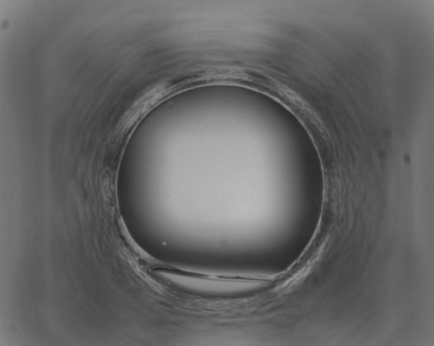 X0000067890985200604271822