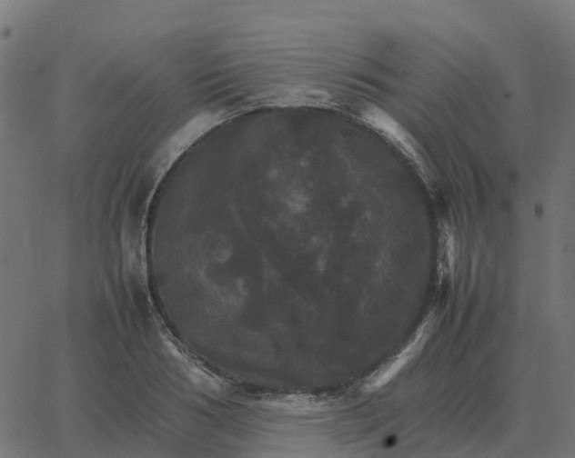 X0000067890986200604271822