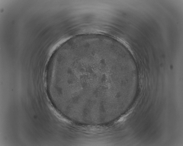 X0000067890987200604271822