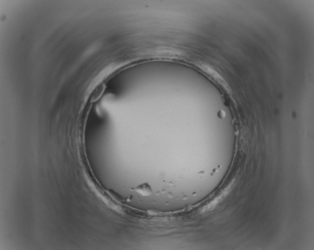 X0000067890989200604271822