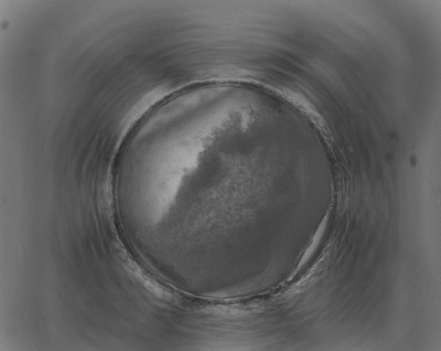 X0000067890990200604271822