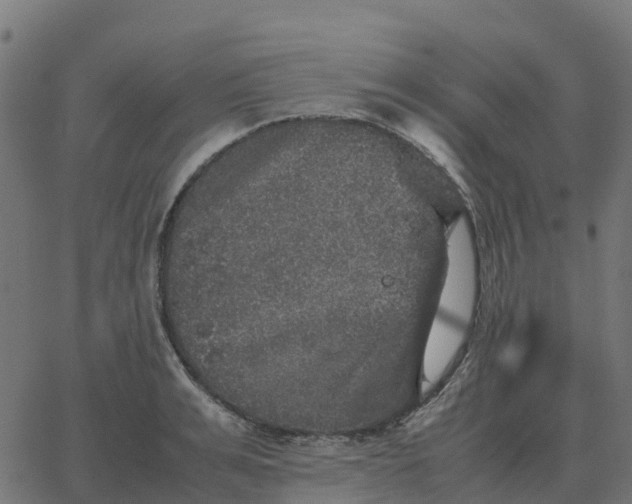 X0000067890991200604271822