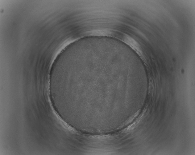 X0000067890992200604271822