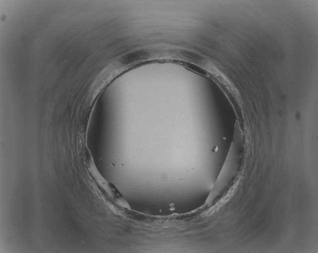 X0000067890993200604271822