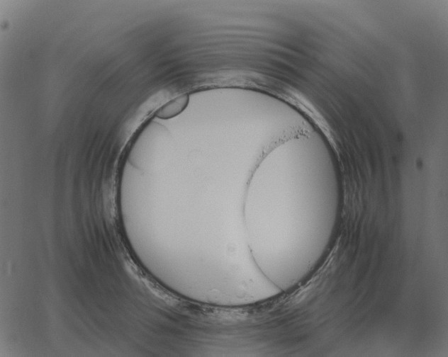 X0000067890994200604271822