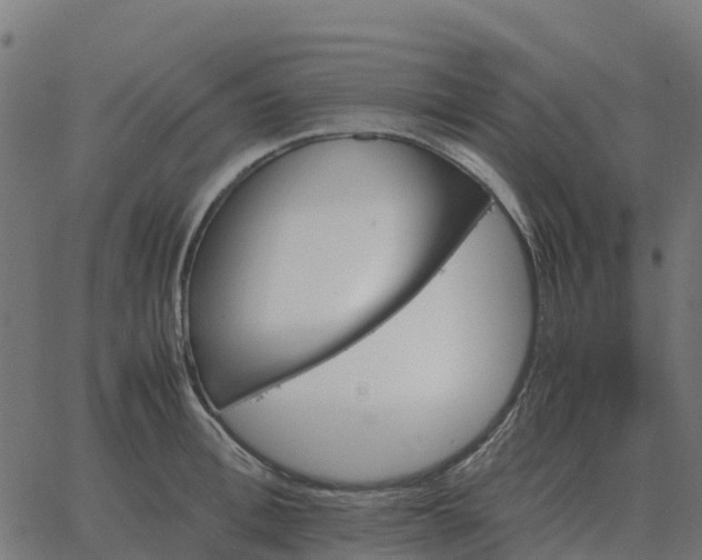 X0000067890996200604271822