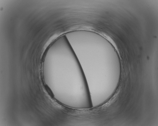 X0000067890997200604271822