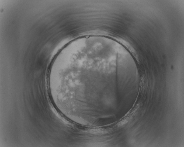 X0000067890998200604271822