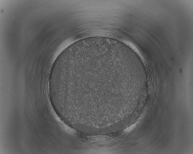 X0000067890999200604271822