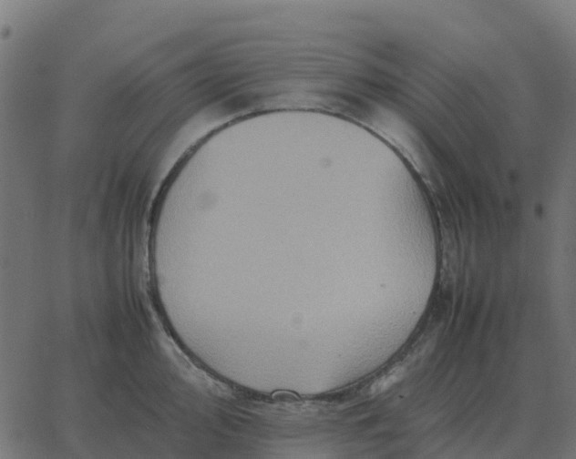 X0000067891000200604271822