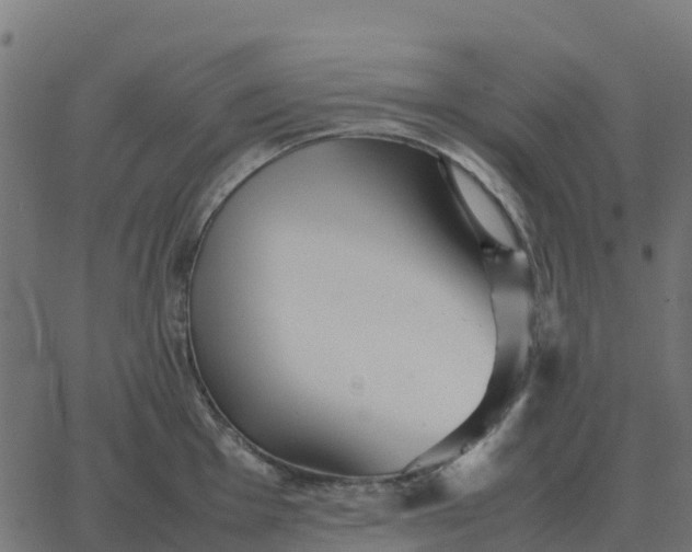 X0000067891001200604271821