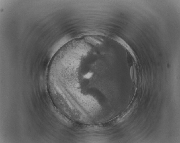 X0000067891002200604271821