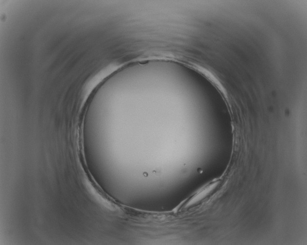 X0000067891003200604271821