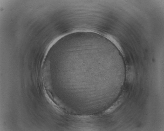 X0000067891004200604271821