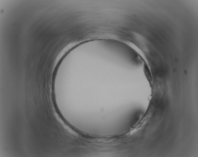 X0000067891005200604271821