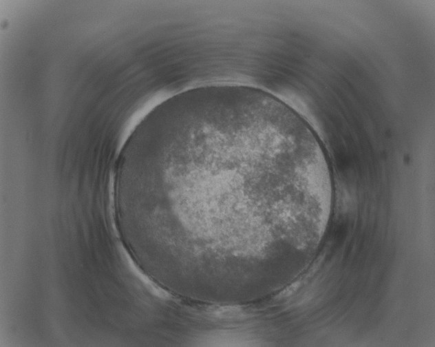 X0000067891006200604271821