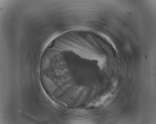 X0000067891007200604271821