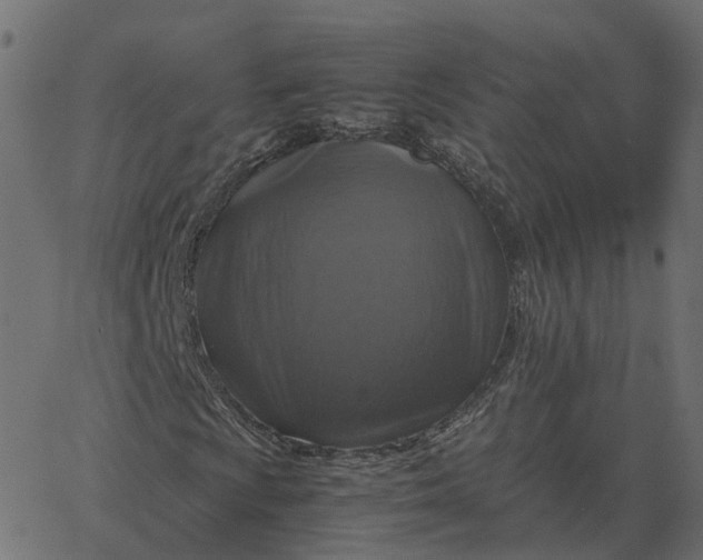 X0000067891009200604271821