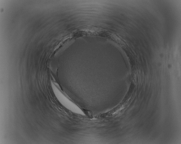 X0000067891010200604271821