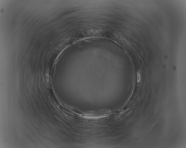 X0000067891011200604271821