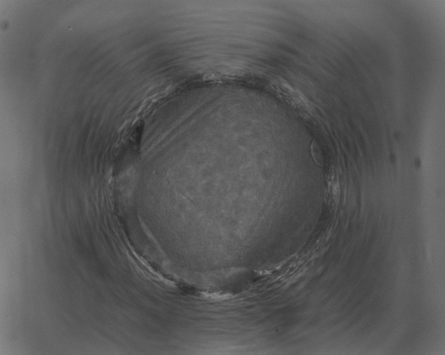 X0000067891012200604271821