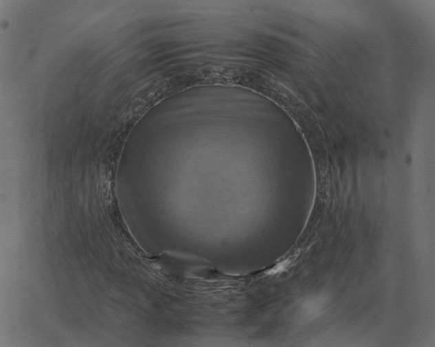 X0000067891013200604271821