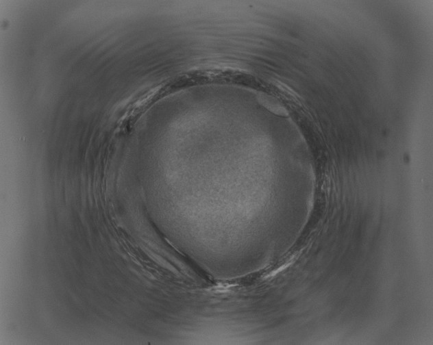 X0000067891014200604271821