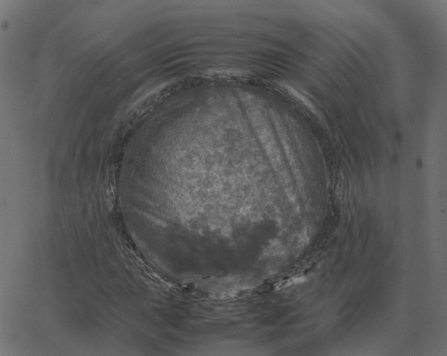 X0000067891015200604271821