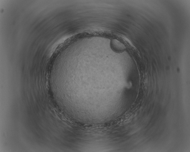 X0000067891016200604271821