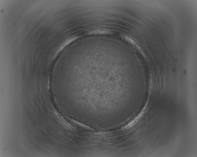 X0000067891017200604271821