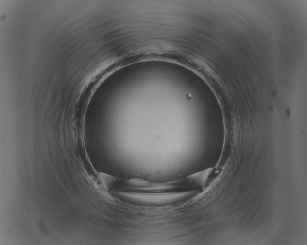 X0000067891018200604271821